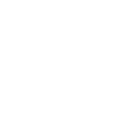 Fossil